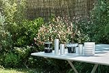 Netatmo Weather Station with Indoor Outdoor Sensors NBU-NWS-NIM-EU view 7