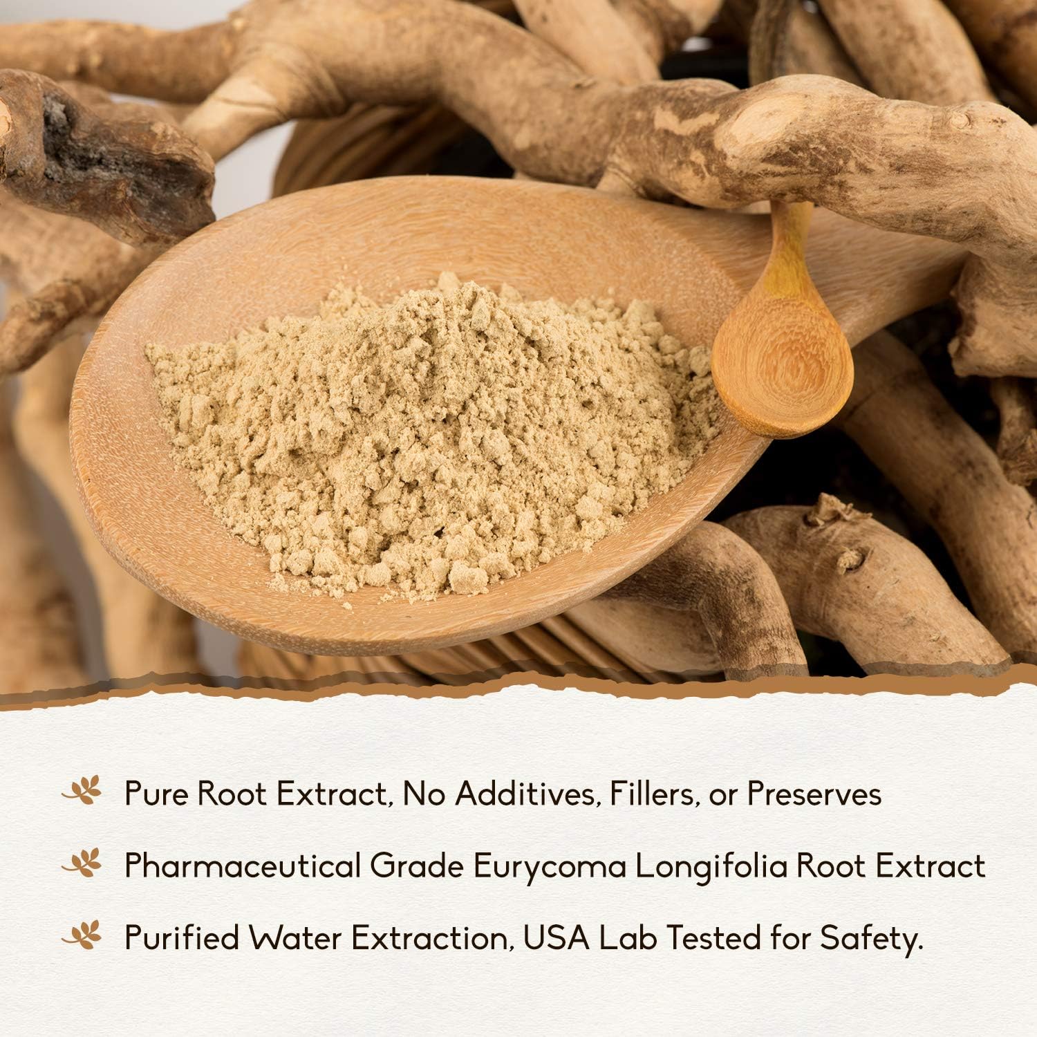 Pure Indonesian (Sumatran) Tongkat Ali Extract Powder by Holistic BIn, Wild Harvested - 15+ Year Old Roots: Health & Personal Care