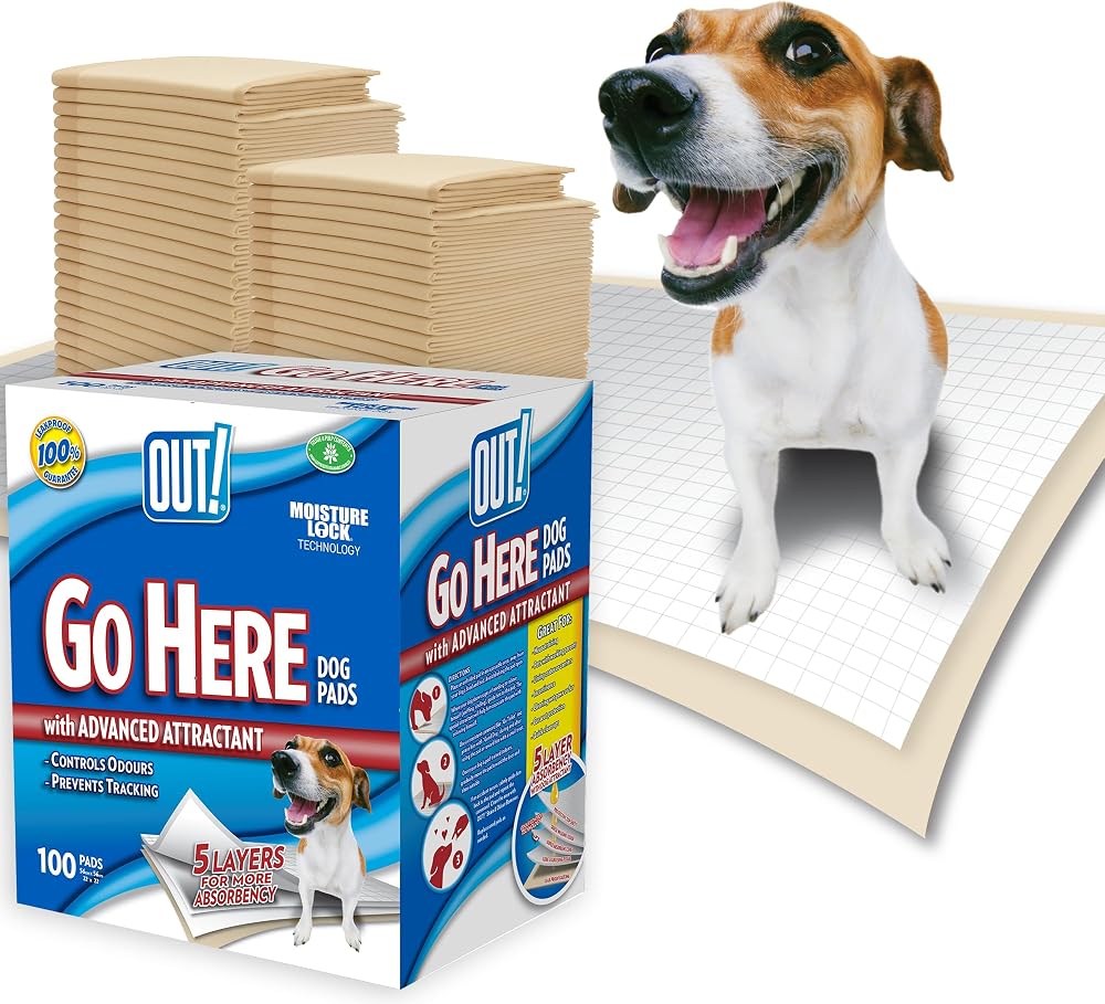 OUT! Moisture Lock Dog Training Pads 53x55cm 100 Pack 5-Layer Odour Control