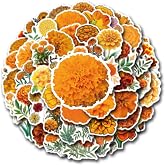 MUYINGZHUO Flower: Marigolds Stickers, 50PCs Pack, Waterproof Vinyl Decals for Laptop, Hydro Flask, Water Bottle Phone Stickers for Teens, Durable Party Supply Decals as Gifts (Marigold)