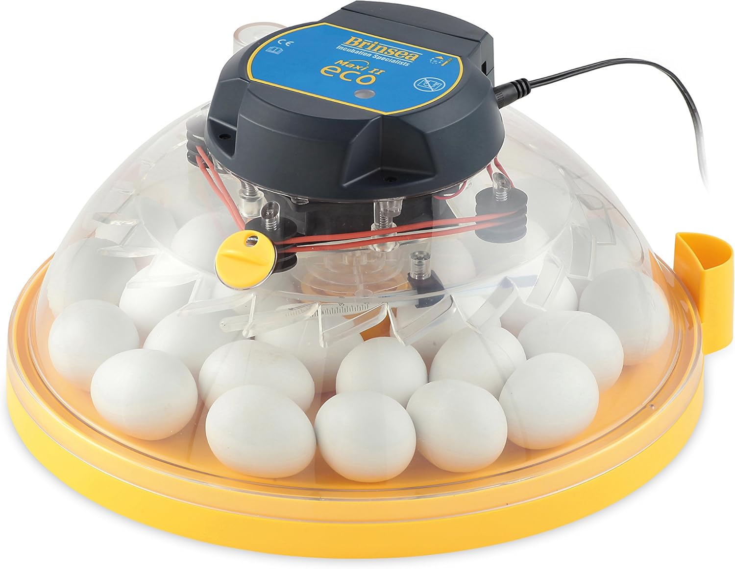 Brinsea Maxi II Eco Egg Incubator Amazon.co.uk Pet Supplies