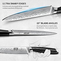 HOSHANHO 5 Pieces Knife Set, Professional Powder