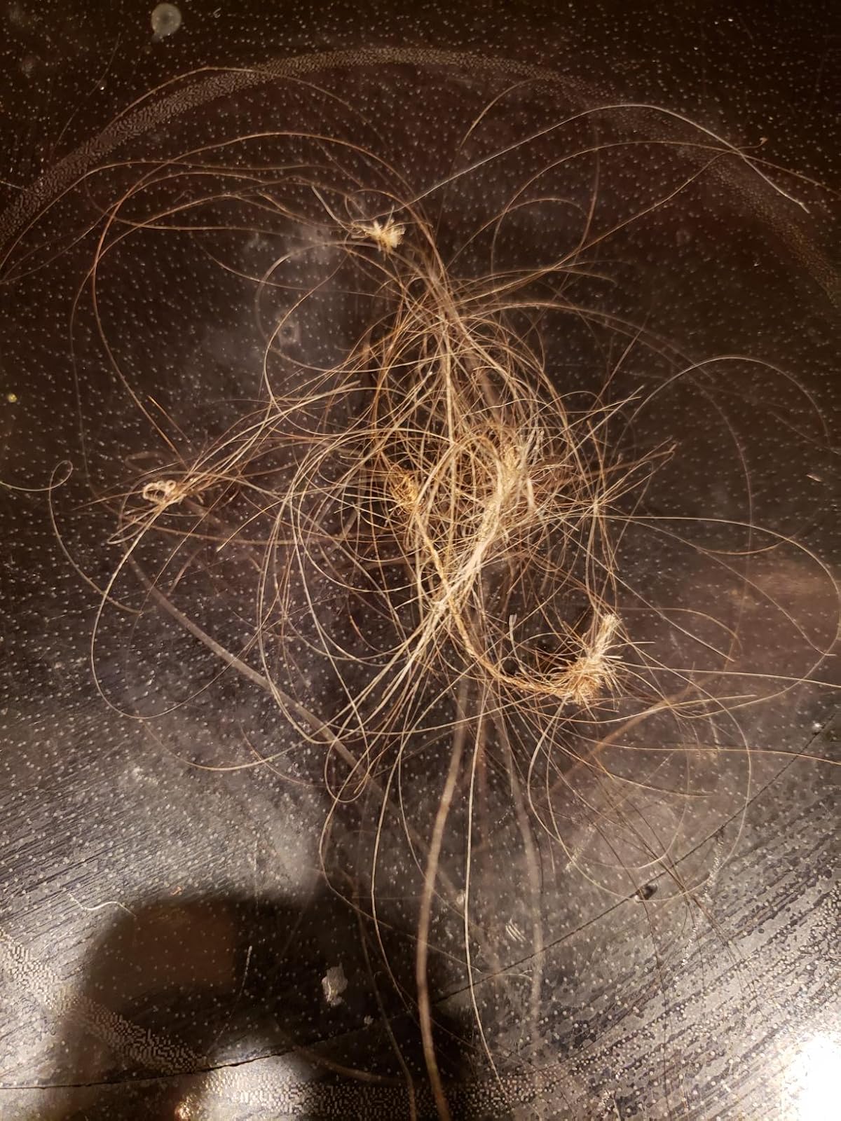 Suction Loss