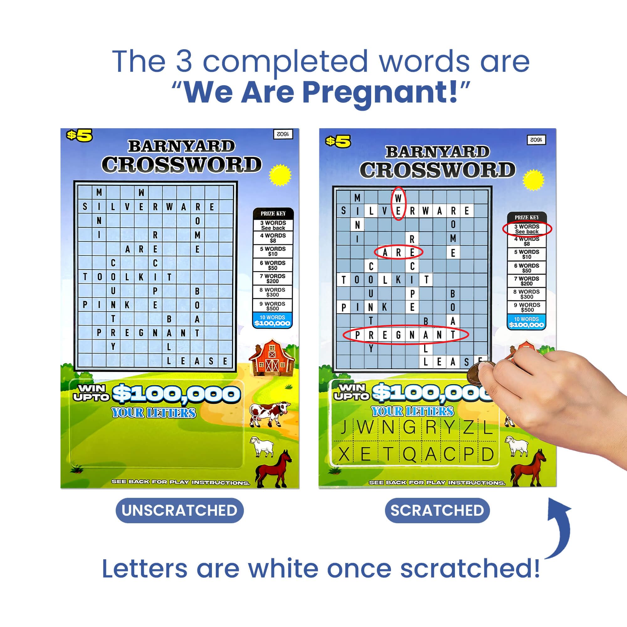 Pregnancy Announcement Lottery Scratch Off Cards for Summer! - Pack of 8 Tickets for Your Memorable Baby Announcement - Perfect Pregnancy Announcement Cards for Grandparents Husband Parents Friends