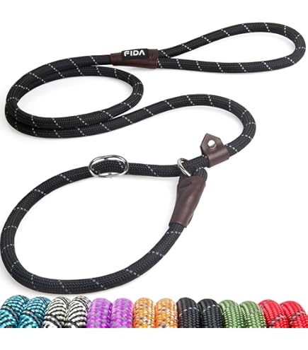 Amazon.com : OmniPet Leather Brothers 6-Feet x 1-Inch Nylon Dog