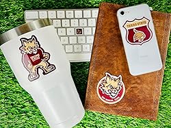 Texas State Stickers for Gift, Car, Water