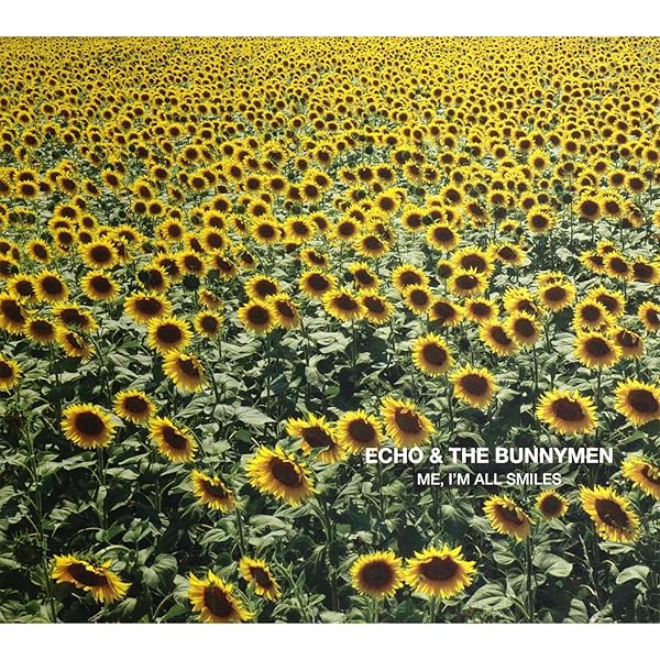 ワールドワイド2LP Echo &amp;amp; The Bunnymen B-sides &amp;amp; Live (2001-2005) DEMREC1000 Demon Records /00520 Echo And The Bunnymen – B-sides & Live (2001-2005) – 2 x