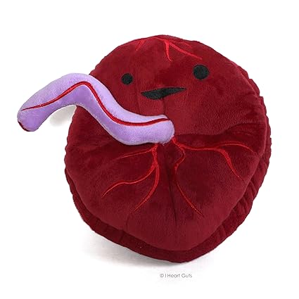 Placenta Babys First Roommate Designer Plush Figure I Heart Guts - 