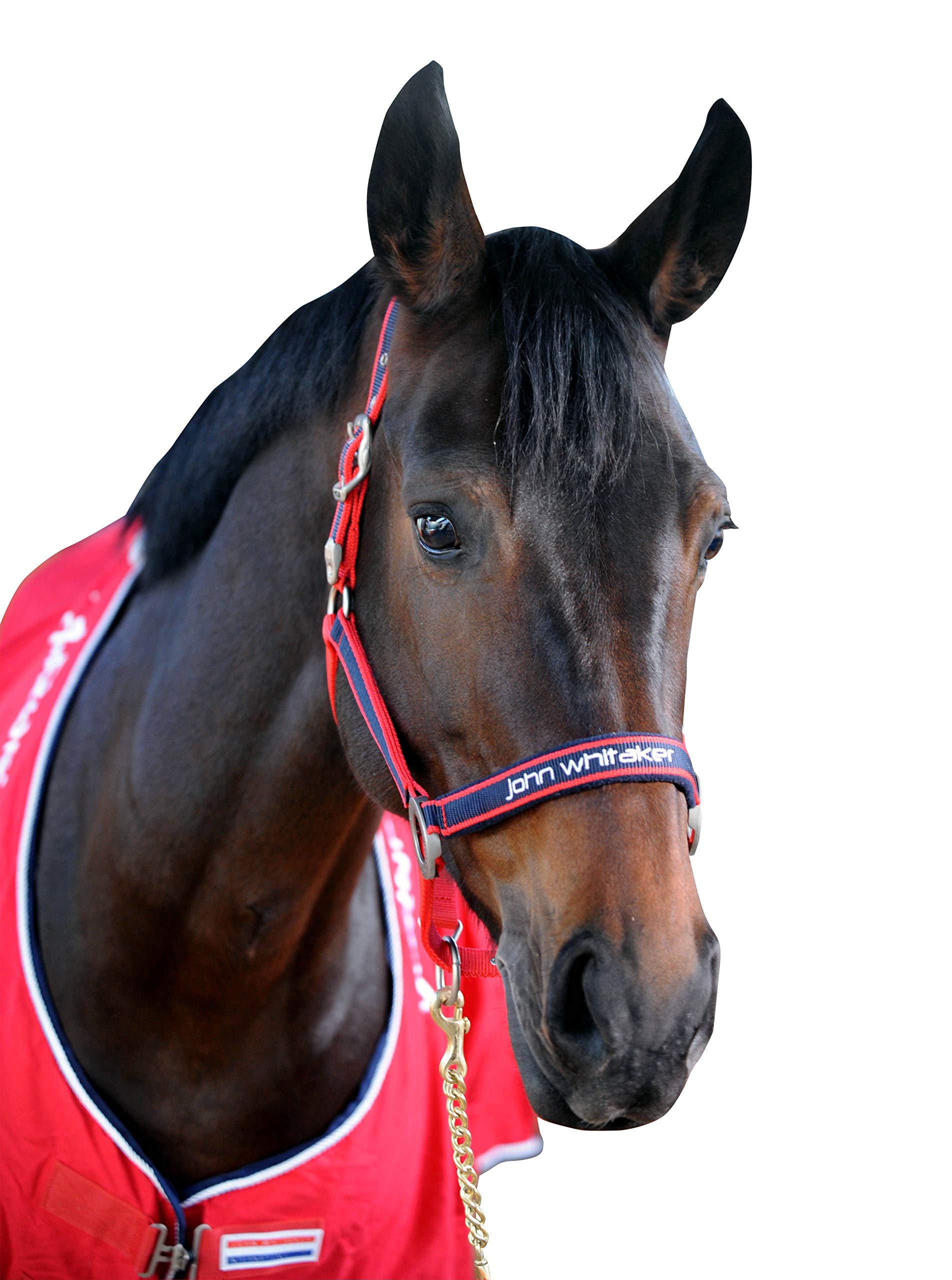 John Whitaker Unisex's WHT0400 Padded Fleece Headcollar, Red, Pony