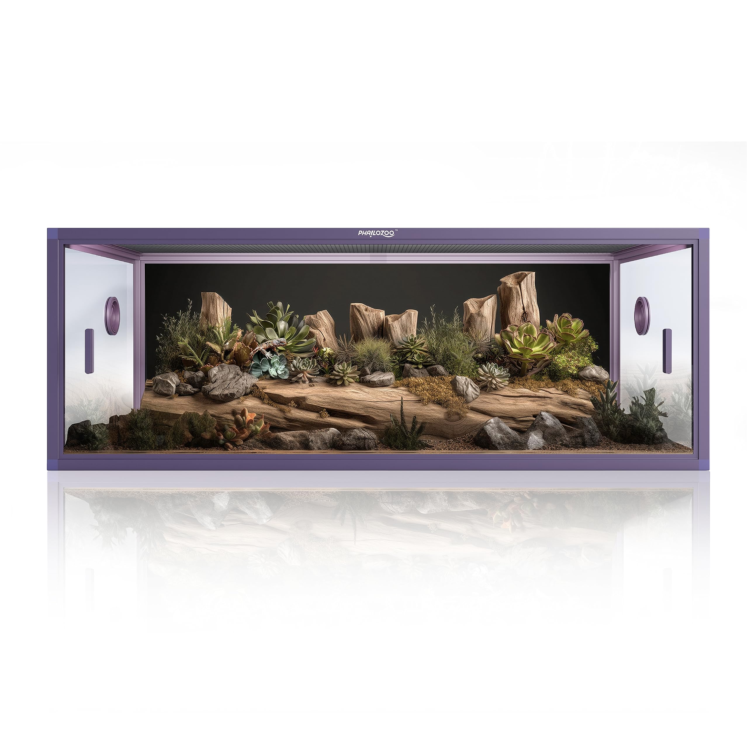 Gallery image with a fresh perspective