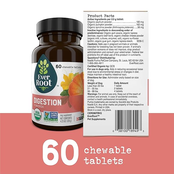 EVERROOT DOG SUPPLEMENTS POWERED BY PURINA DIGESTION CHEWABLE TABLETS WITH PUMPKIN – 4.23 OZ. CANISTER