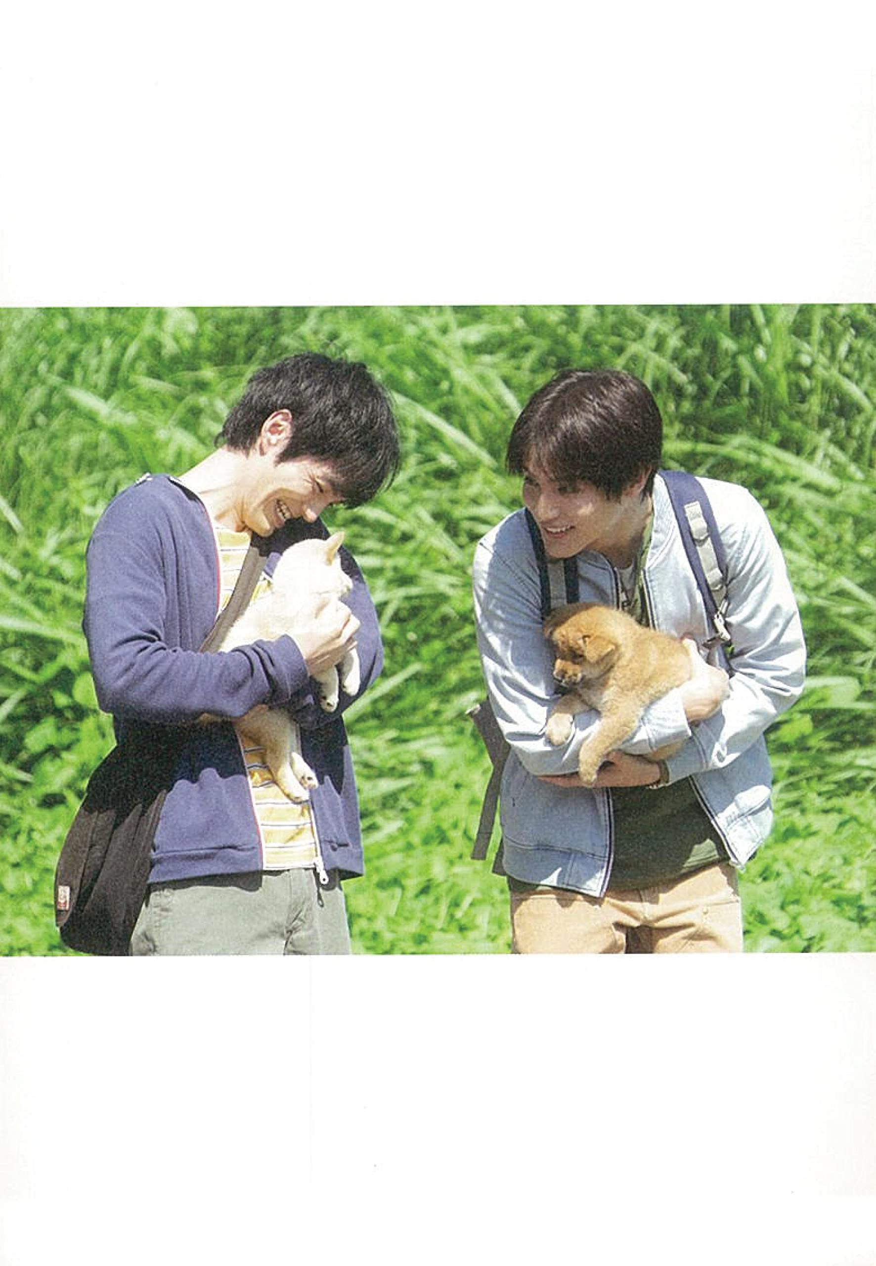 映画小説版 犬部 朝日文庫 山田 あかね 本 通販 Amazon