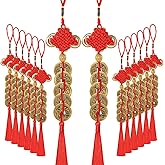 JUNEBRUSHS 16Pcs Chinese New Year Lucky Coins Charms Chinese Knot Feng Shui Tassel Hanging Pendant Decorations for New Year H