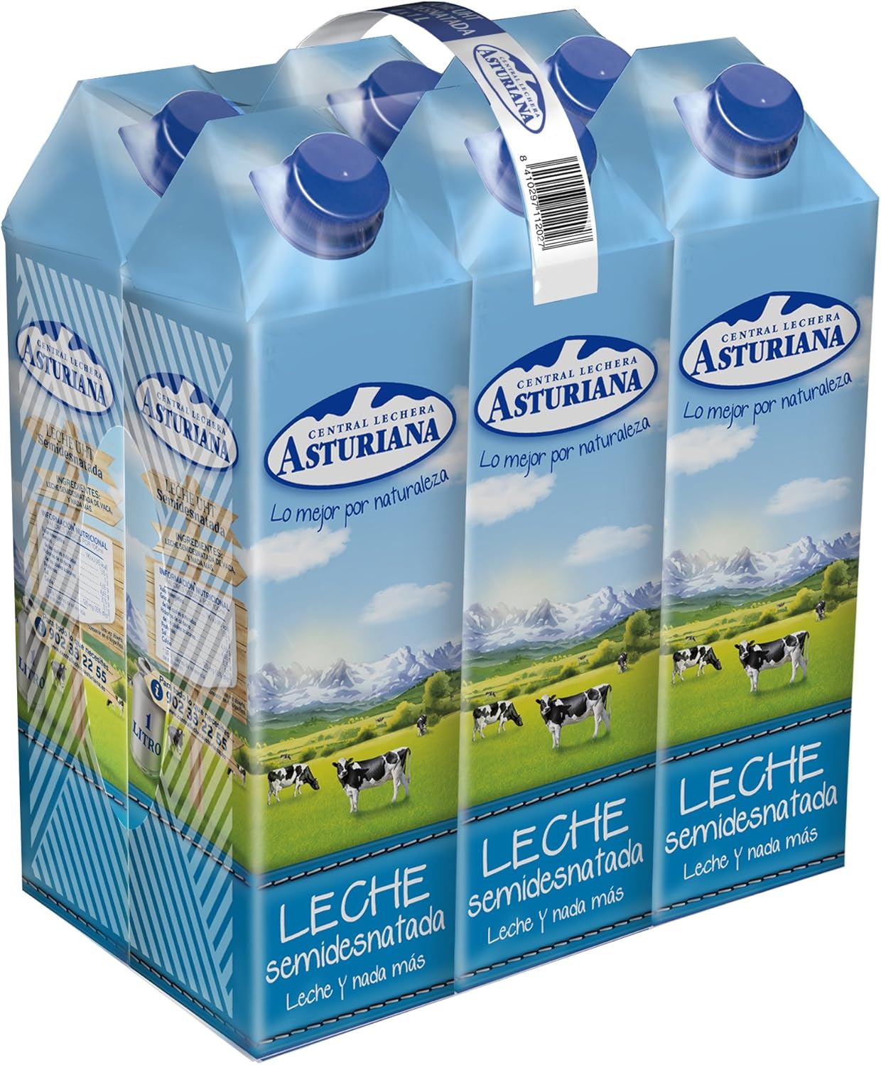 Central Lechera Asturiana - Leche Semidesnatada Brik 1L (Pack 6): Amazon.es: Alimentación y bebidas