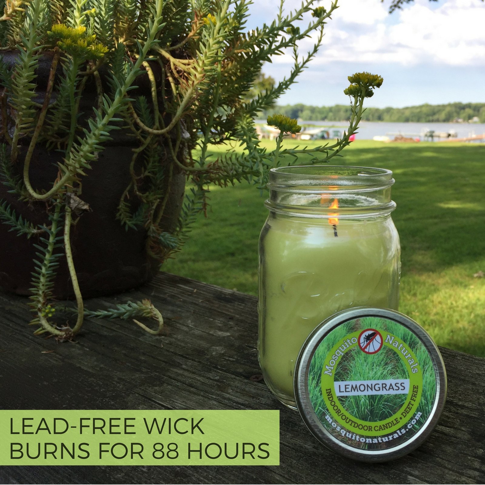 Galleon Mosquito Naturals Natural Lemongrass Citronella Mosquito