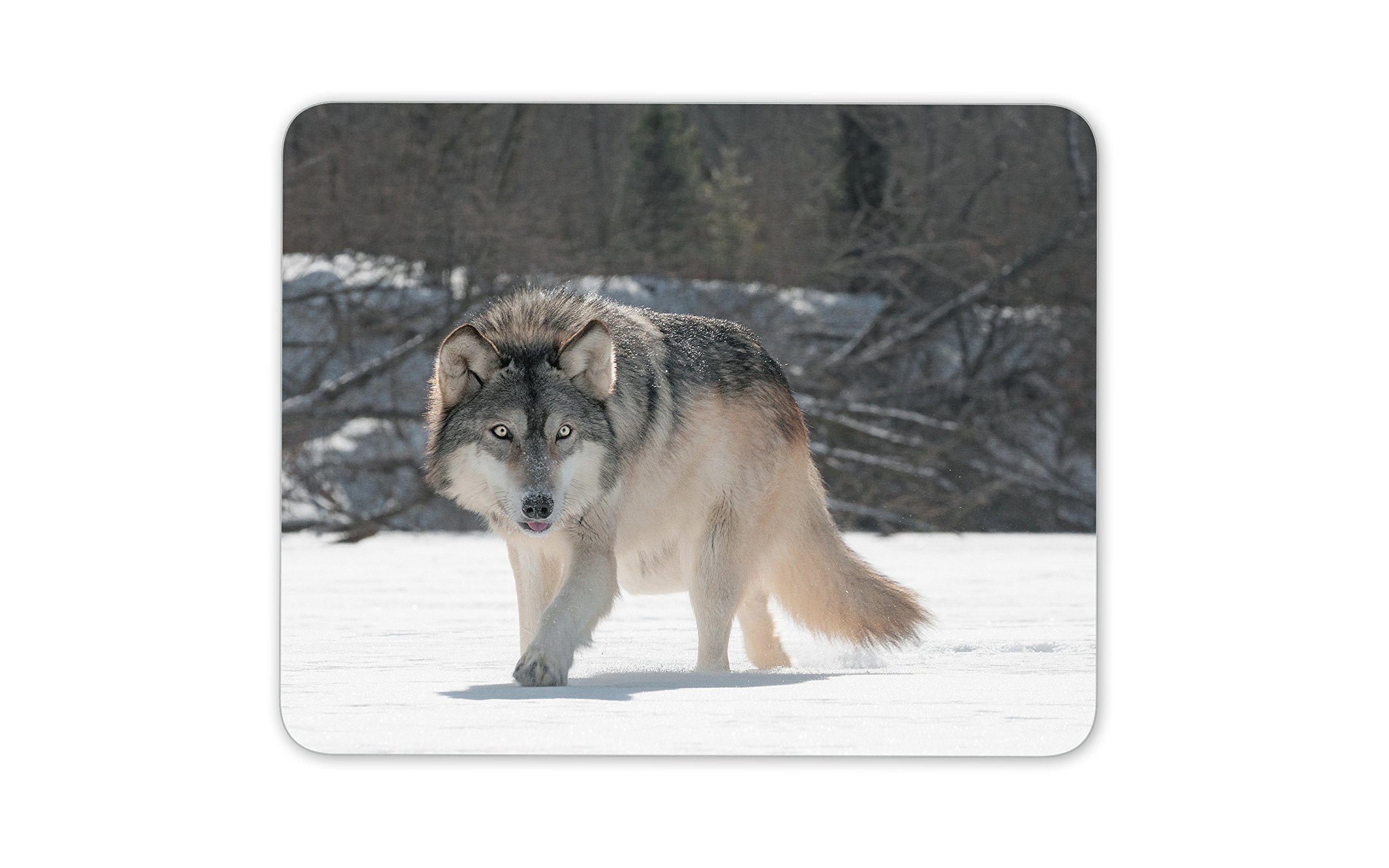 Wild Wolf Mouse Mat Pad - Animal Wolves Predator Computer #13159