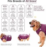 BellyGuard Dog Surgery Recovery Suit Post-Op Bodysuit for Dogs view 3