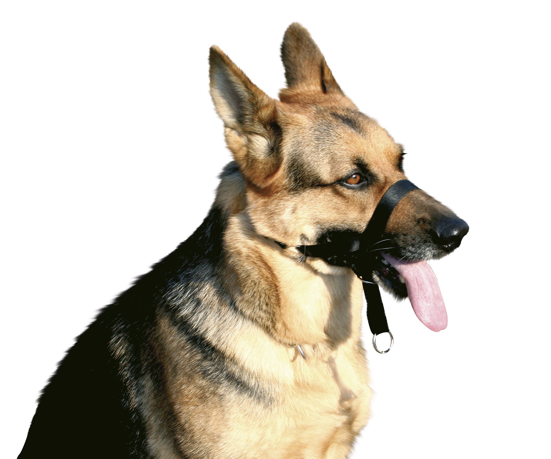 CROCI Nylon Muzzle Training, Size 2