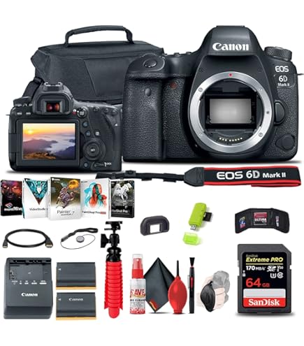 Amazon.com : Canon EOS 6D Mark II DSLR Camera with 24-105mm f/4L