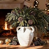 Rustic White Ceramic Vase, Wide Mouth Terracotta, Antique Decorative Flower Vase with 4 Handles, 9.7 in