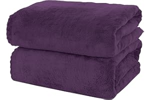 MOONQUEEN 2 Pack Premium Bath Towel Set - Quick Drying - Microfiber Coral Velvet Highly Absorbent Towels - Multipurpose Use as Bath Fitness, Bathroom, Shower, Sports, Yoga Towel (Grape Purple)