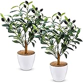 Giegxin 2 Pack 15.8 Inch Small Artificial Olive Tree Indoor 40cm Faux Olive Plant with White Pot for Home Office Room Table Modern Decor