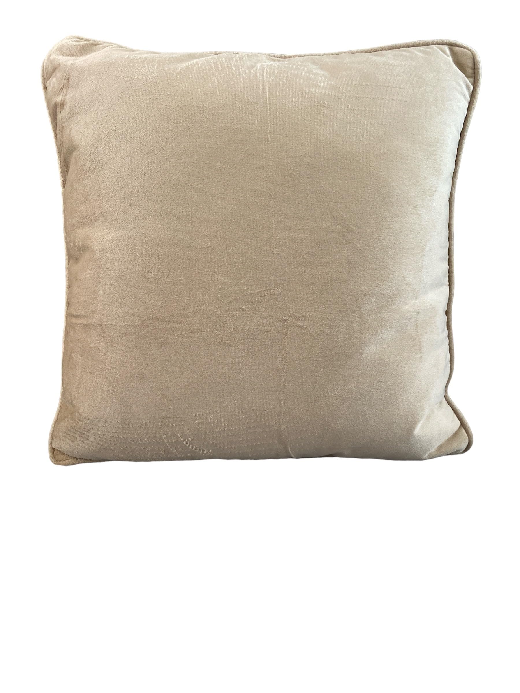 NovatoStar Plain Velvet Cushion Cover for sofa couch chairs Pack of Two (Gold, 22x22)