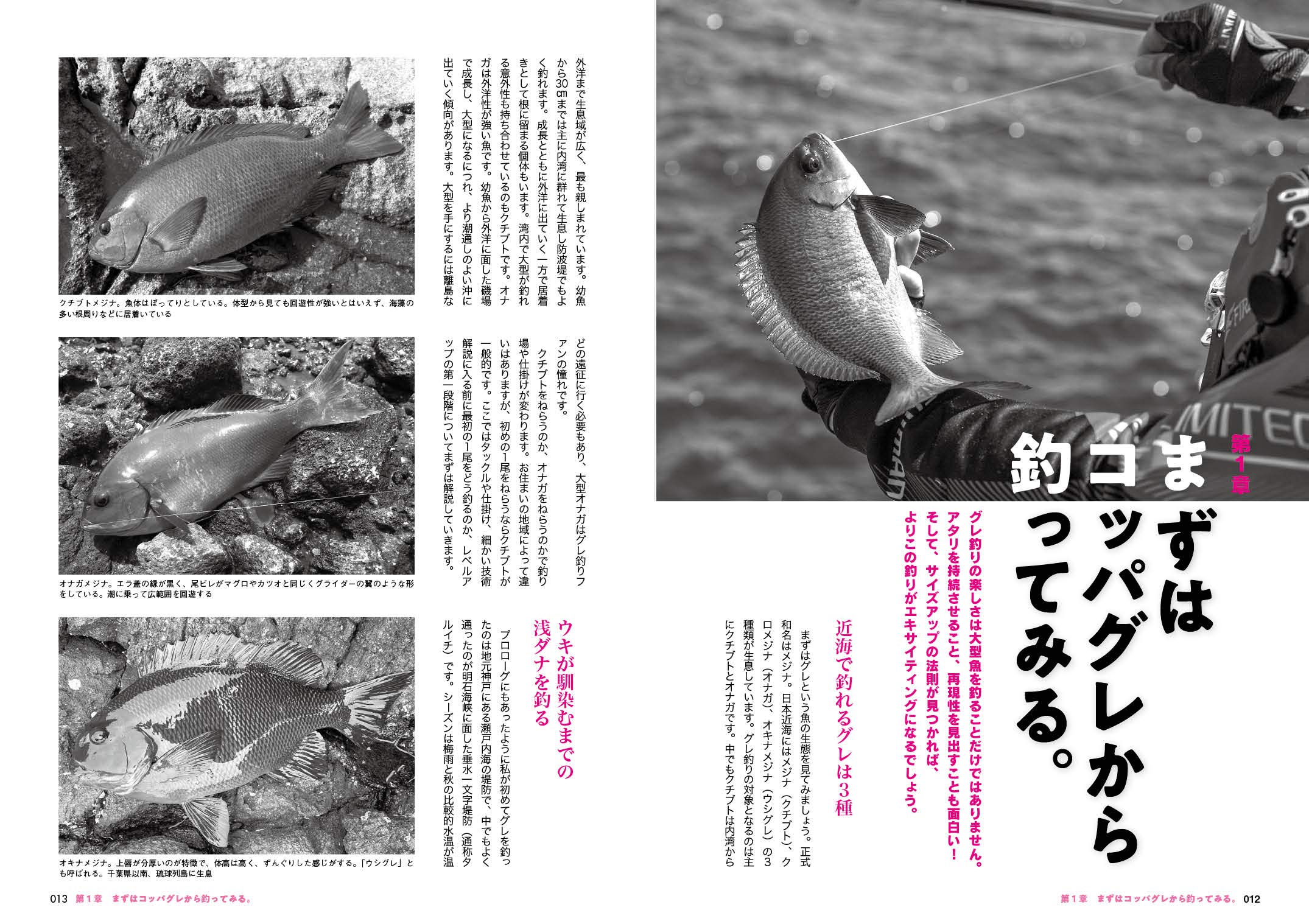 日本一グレを釣る男 友松 信彦 本 通販 Amazon 日本一グレを釣る男 友松 信彦 本 通販 Amazon