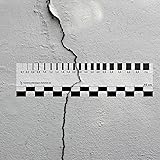 Expert Accessories Set of 2 | Transparent Ruler