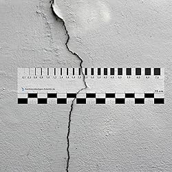 Expert Accessories Set of 2 | Transparent Ruler