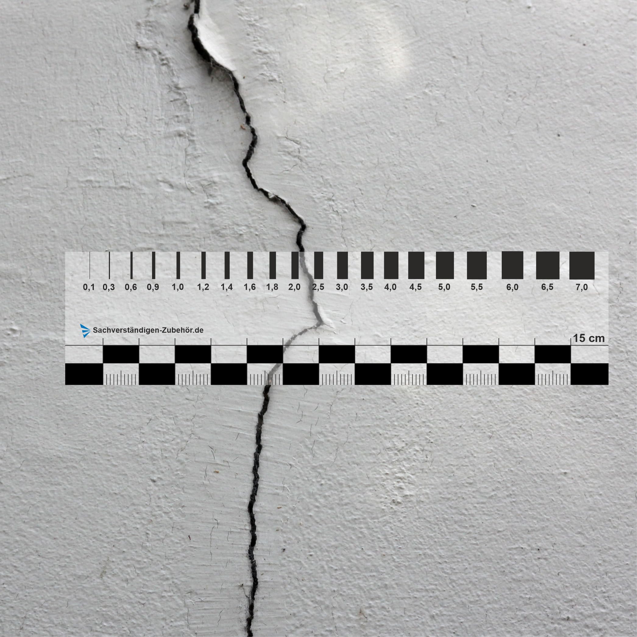 Expert Accessories Set of 2 | Transparent Ruler