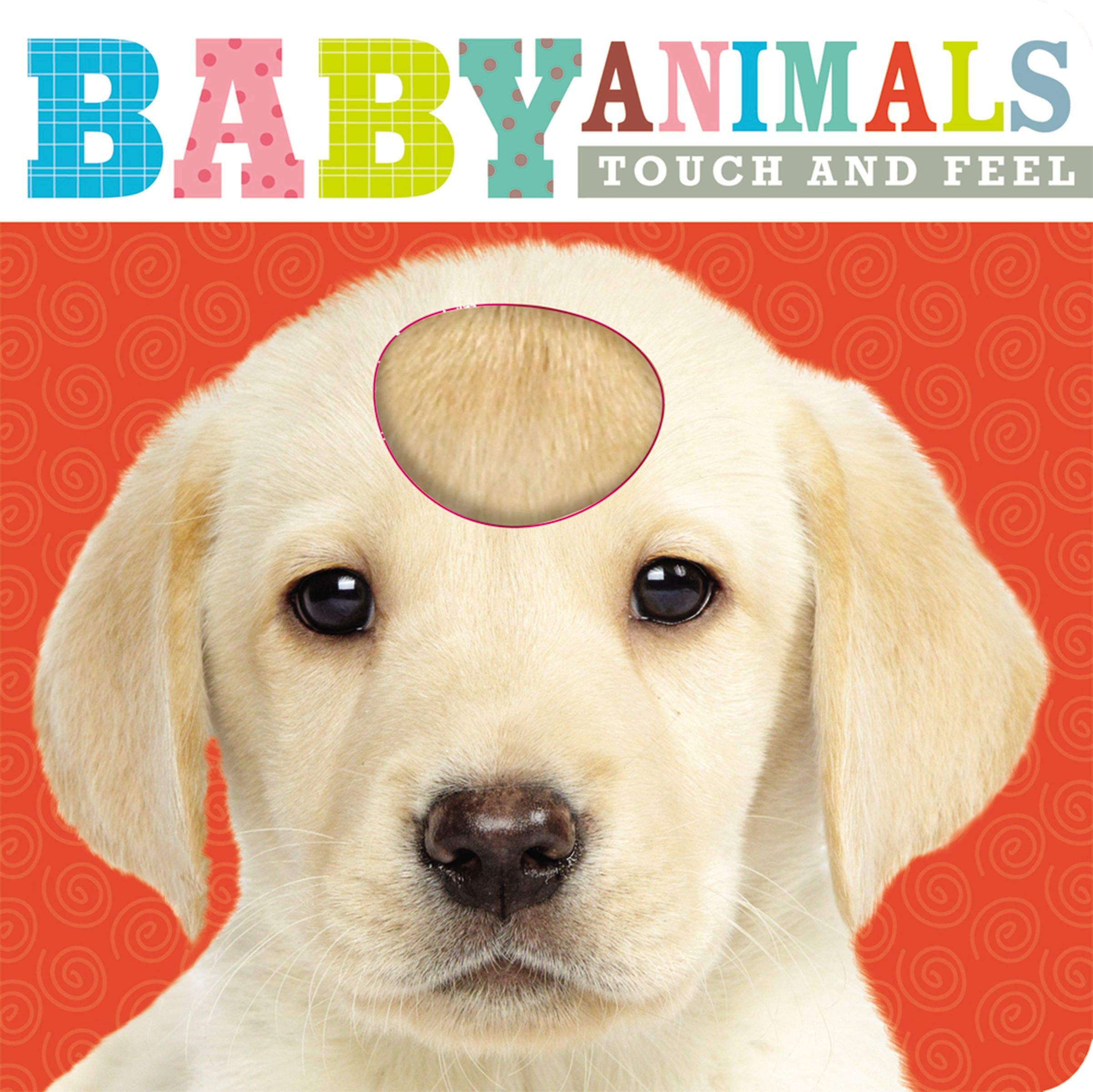baby animals book