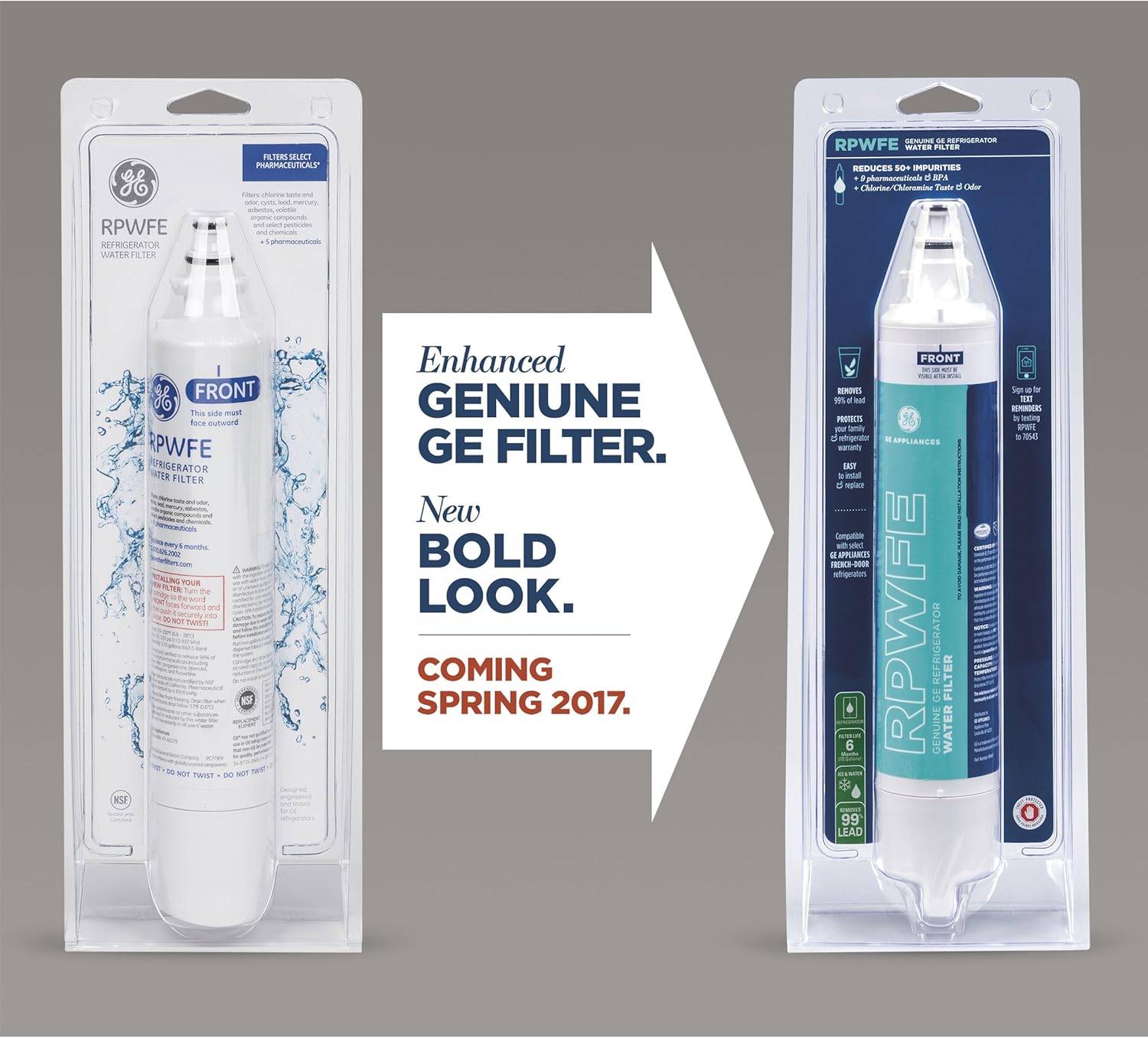 GE RPWFE Refrigerator Water Filter: Appliances