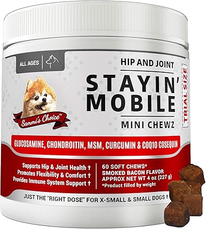 glucosamine chondroitin msm for dogs dosage