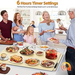 Newise Graphene Food Warming Mat for