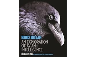 Bird Brain: An Exploration of Avian Intelligence