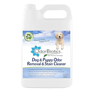 Amazon Com Odorbiotics Dog Puppy Odor Eliminator Stain