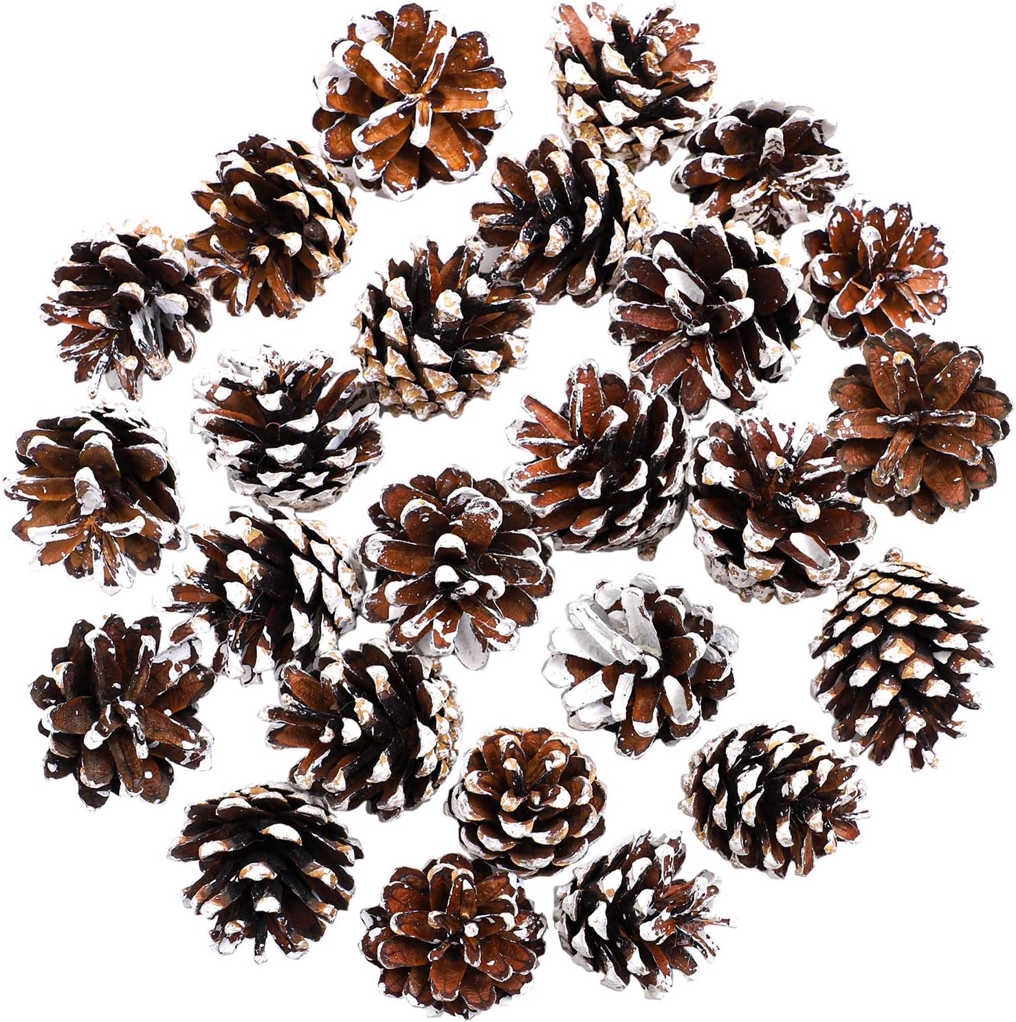 Vase Fillers - Cooraby 24 Pieces Pine Cones Christmas Snow Pine Cones 4 to 6 cm Pine Cones for Fall and Christmas Party Decoration Home Decoration