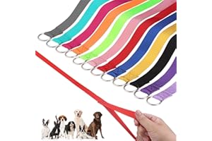 HOMIMP Slip Lead Dog Leash 6 FT- 48 PCS Bulk Colors Kennel Control Leashes for Small Medium Large Dogs Puppy Animal Rescue, Grooming - Heavy Duty Strong Nylon 6 Foot Long for Shelter, Vet, Training