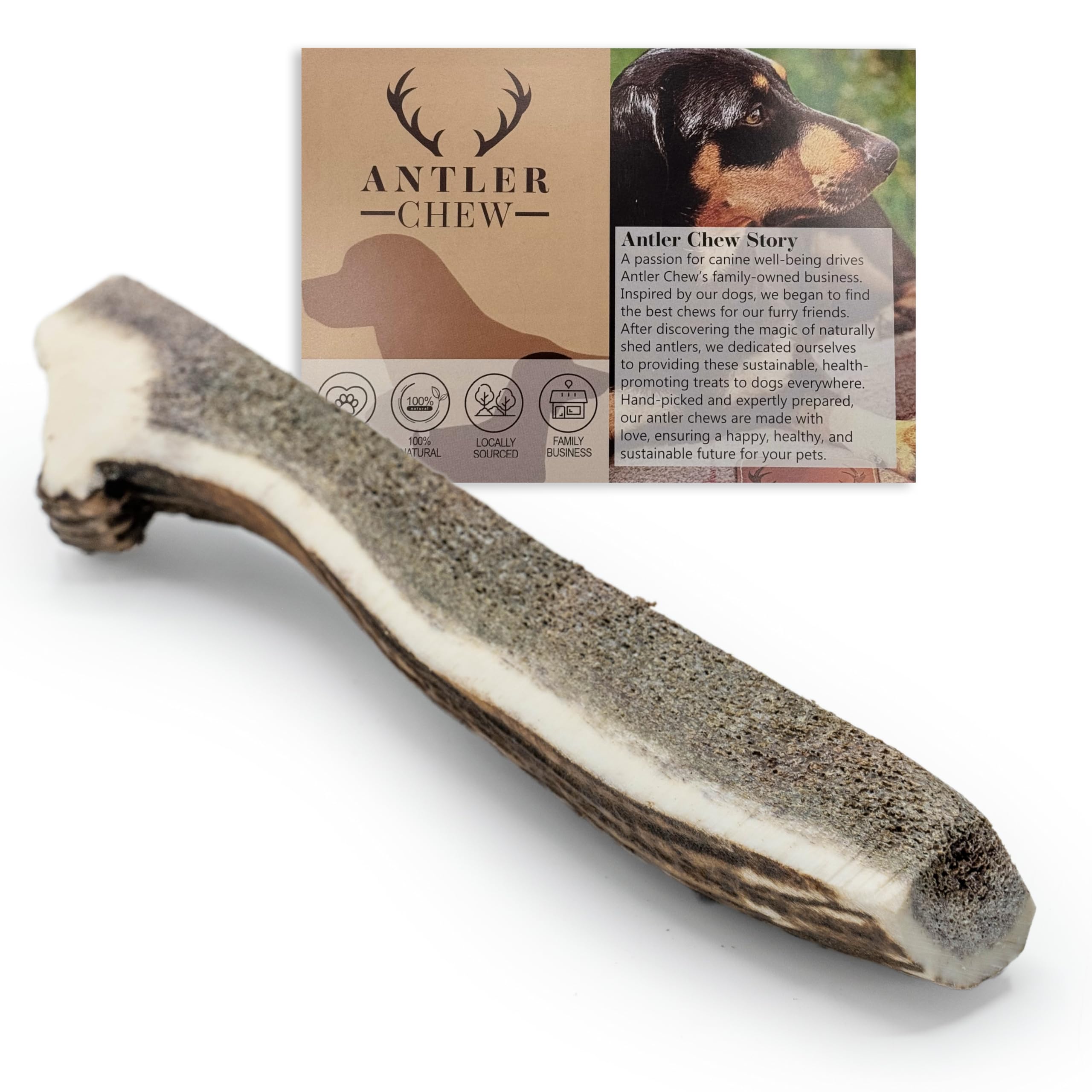 Antler Chew – Easy Chew XL Split Deer Antler for Dogs (14cm, 91–120g), Pizza Shape, Exposed Marrow, Natural Dog Chew Treat & Toy, Safe for All Dogs & Puppies, Naturally Shed, Sustainable Chew