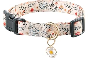 Raisingwell Cute Dog Collar Beige Flower Pattern for Boys and Girls Holiday Dog Collars Summer Fall Gift Adjustable for Small to Medium Breed Dogs (S)
