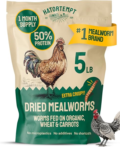 Hatortempt Bulk Dried Mealworms - 5 Lb Bag - Dried Mealworms for Chickens, Ducks & Wild Birds - High-Protein Chicken Feed & B