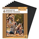 labphant 6 Pack 8.5x11 Inch Magnetic Picture