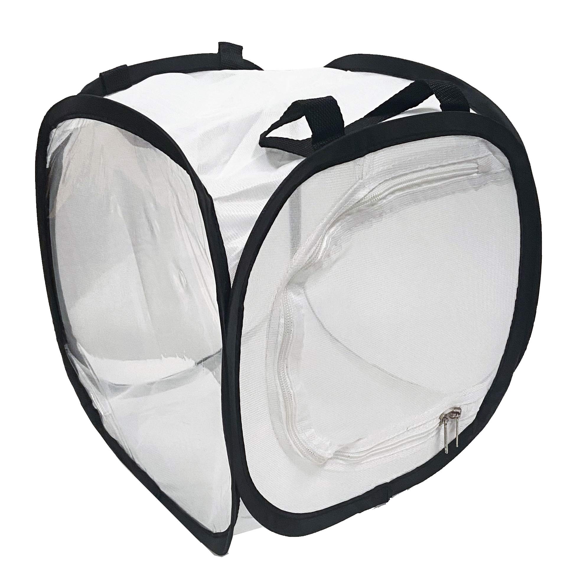 Pop Up Insect Cage (Small 30 x 30 x 30cm)