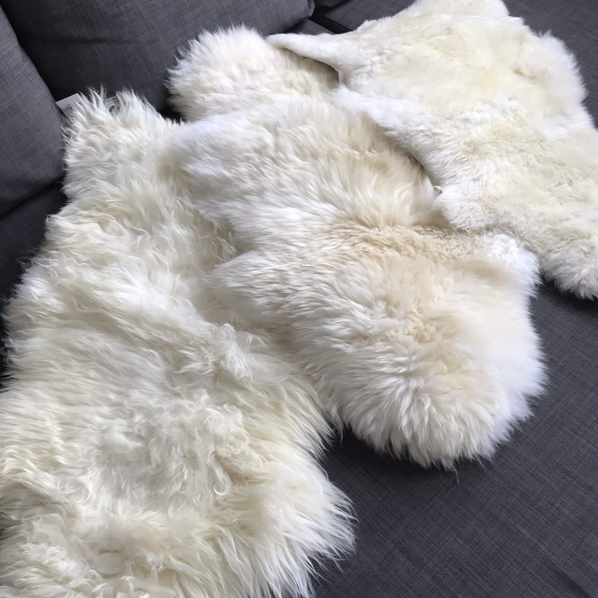 Wildash London - Luxurious Sheepskin Rug - Creamy White, Opulent Fleece MEDIUM 90cm - 100cm