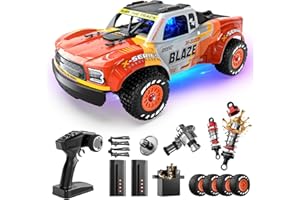 DEERC 1205 1/14 Brushless RC Car for Adults,Max 43 mph,Electric 4x4 Off-Road RC Truck, Waterproof Monster Truggy, All Terrain