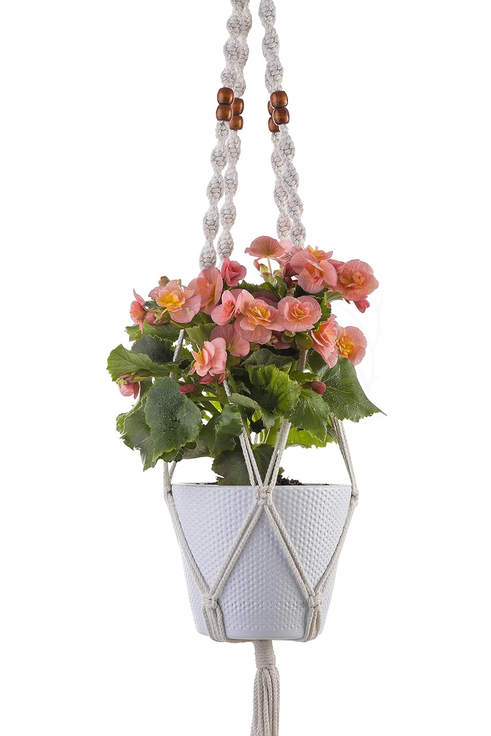 Best Vintage Indoor Herb Garden Jar