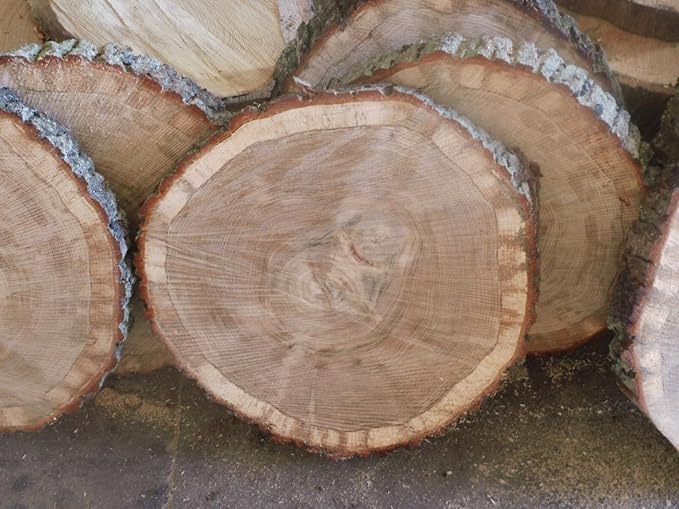 KJR Holzmanufaktur Baumscheibe, Holzscheibe,ca. 40x3 cm, basteln, Holz,Eiche, Tischplatte