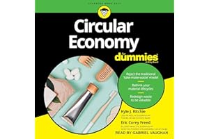 Circular Economy for Dummies