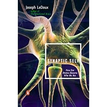 Synaptic Self: How Our Brains Become Who We Are | Amazon.com.br